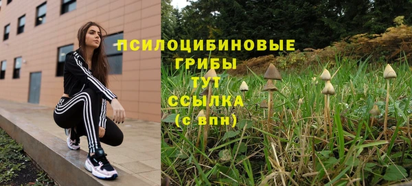 мяу мяу мука Покачи