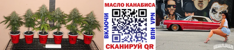 продажа наркотиков  Баймак  ТГК THC oil 
